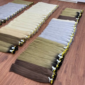 Extensions de cheveux humains vietnamiens en vrac, lisses naturelles, cuticules alignées, options de couleur Hairshop - Product Image 1