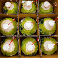 Coco joven fresco, coco desgranado, agua de coco, suministro a granel, exportador OEM de Vietnam