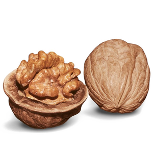 Nueces naturales orgánicas en estilo seco a granel para uso alimentario al por mayor - Product Image 5
