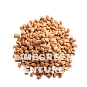 Double langue 100% Natural Premium Organic Neem Seeds pour l'extraction d'huile pressée à froid Produits agricoles Durée de conservation de 12 mois - Product Image 6