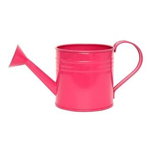 Arrosoir en métal de vente chaude pour les plantes d'extérieur et d'intérieur arrosoir de jardinage galvanisé avec poignées en acier inoxydable - Product Image 5