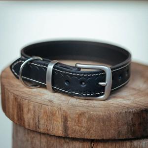 Collar clásico para perro, 20mm, negro - Product Image 4