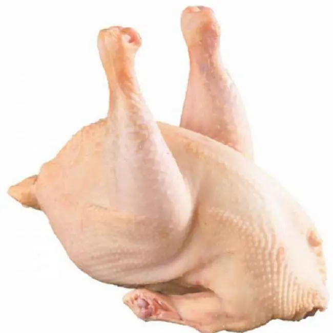 Vente en gros de poulet biologique halal congelé Vente en gros Poulet biologique halal congelé de meilleure qualité