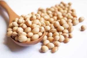 Graines de soja biologiques séchées de qualité supérieure pour l'agriculture commerciale et l'exportation en sacs en vrac – Ingrédient pour l'alimentation animale - Product Image 3
