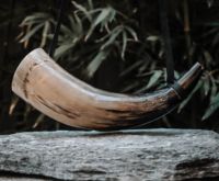 Vente en gros de cornes de bœuf médiévales 100% naturelles, de qualité supérieure, gravées à la main par ROYAL NATURAL CRAFT, fabriquées en Inde, modèle RNC-445