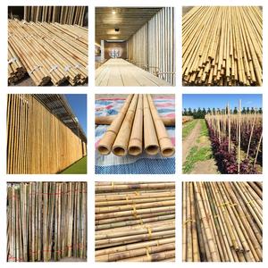 Varas de Bambú Naturales y Duraderas de Vietnam, Venta al por Mayor, Tamaño Personalizado para Construcción y Exportación, Marca VietnamCrafts BP019 - Product Image 2