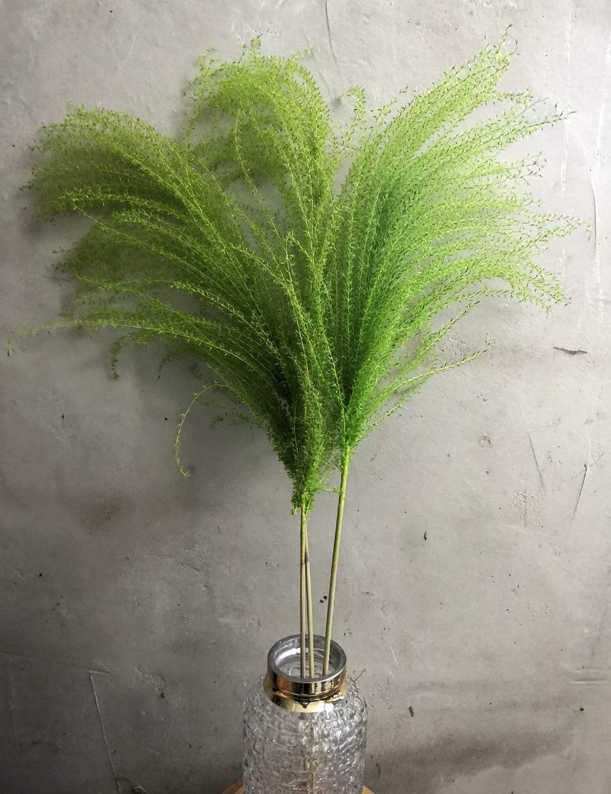 สีเขียว