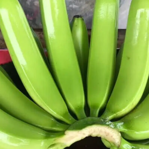 Bananas Cavendish verdes frescas orgánicas al por mayor, exportador global confiable - Product Image 3
