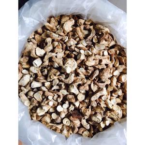 Champignon shiitake séché jambe qualité parfaite pour les ventes champignon tige séchée champignon shiitake séché - Product Image 2