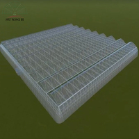 Serre en film multi-travées sur mesure 86,4x76m pour système de culture hydroponique de tomates