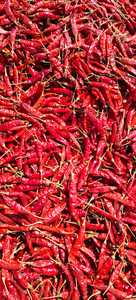 Chiles Rojos de Primera Calidad, Capsicum Annuum, Grado Alimenticio, Limpios, Clasificados, Control de Humedad, Alta Temperatura, SHU Medio, Suministro a Granel - Product Image 4