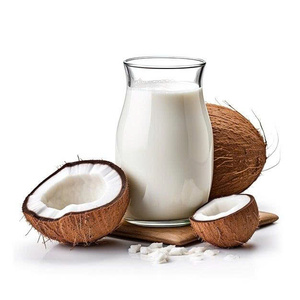 OFERTA CALIENTE AL POR MAYOR LECHE DE COCO CONCENTRADA PURA PEDIDO A GRANEL TOP VENTAS CALIDAD DE EXPORTACIÓN LISTO PARA USAR - Product Image 3