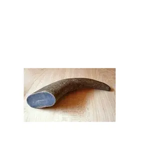 Buffalo Horn Tip for hot sale for Handle Brush Knife Door Nook Wholesale supplier Tips Natural Horn tip and dogs chew use