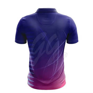 Maillot de cricket pour hommes 2025 de l'équipe du Pakistan, personnalisé avec nom et numéro, respirant, léger, 100 % polyester, prix de gros - Product Image 2