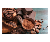 Granos de Cacao Premium de Vietnam para Compradores Mayoristas - Granos de Cacao Fermentados Secados al Sol para Procesamiento de Confitería