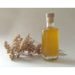 100% Yarrow Oil India Oil Venta al por mayor Bulk Yarrow Oil India Oil Natural y Pure Yarrow Oil India Oil - Product Image 1