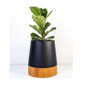 Maceta y maceta de metal con etiquetado privado con construcción sostenible adecuada para compradores conscientes de lo verde - Product Image 1