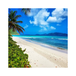 Los precios competitivos disponibles para la venta a granel para todos sus proyectos Beech Log es perfecto para la elaboración de muebles de alta gama - Product Image 2