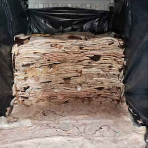 Raw <b>Wet</b> Salted and Dried Cow Hides / Skins Available In Large Quantity wholesale supply - Product Image 4