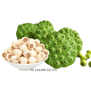 2024 VIETNAM Semillas de loto secas de alta calidad Puro y limpio para beneficios de salud Económico - Product Image 3