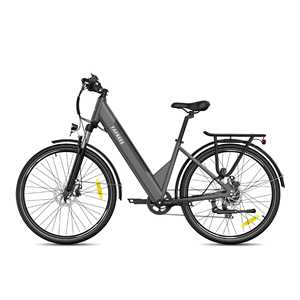 [Reino Unido] Bicicleta Fafrees F28 Pro-178 CM Longitud Total Disponible en Gris Gunmetal Verde Oscuro Titanio Dorado - Product Image 6