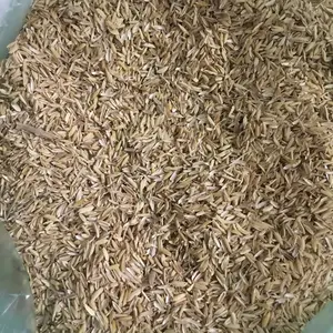 Premium Quality rice husk from Vietnam suppliers at affordable price export in bulk