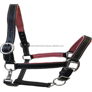 Licou de cheval en cuir de selle noir ou marron de qualité supérieure avec matériel en laiton nickelé réglable et licou rembourré coloré - Product Image 4