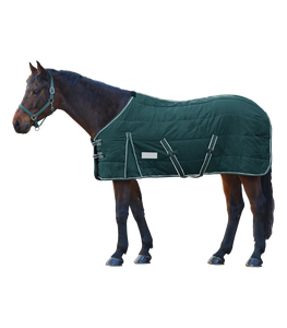 Поставка с завода, оптовая продажа, лошадиный эквин, оттеночное одеяло, водонепроницаемый лист, ковер для наездника - Product Image 2