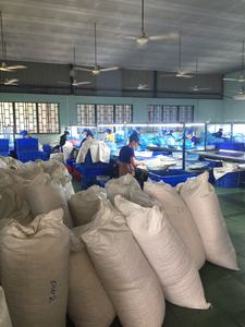 NOIX DE CAJOU Meilleur prix Noix de cajou crues noyau W320 Noix de cajou entières séchées du fournisseur du Vietnam - Product Image 4