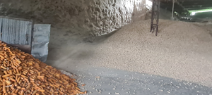 Las Mazorcas de Maíz se Pueden Usar Fácilmente como Combustible Como Residuos Biológicos de Vietnam - Product Image 2