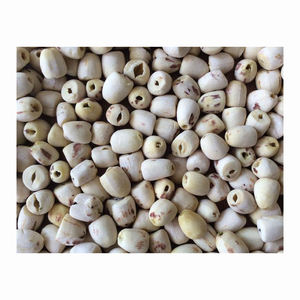 เมล็ดบัวแปรรูปสำหรับผลิตอาหารและเครื่องดื่มผลิตภัณฑ์ทางการเกษตรระดับพรีเมี่ยม - Product Image 6