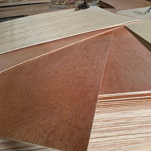 [HOT] Packing Plywood Competitive Price 1220x2440mm for Packaging Purposes Made in Vietnam