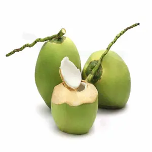 新鮮な緑の若いココナッツ卸売りのための最高品質の最高価格のココナッツ