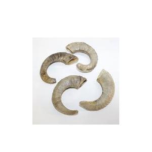 Shofar de Cuerno de Cabra Hecho a Mano, Bien Pulido, Precio al por Mayor, Cuerno de Carnero Natural, Shofar con el Mejor Acabado, Hecho a Mano - Product Image 1