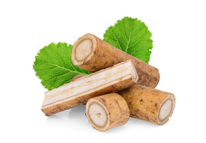 รากหญ้าเจ้าชู้ (Arctium lappa) รากแห้งทั้งรากสำหรับเป็นวัตถุดิบสมุนไพร - Product Image 2