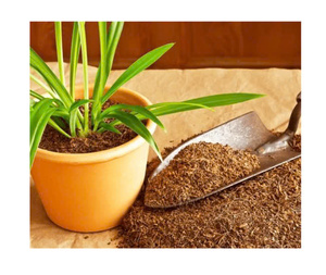 A diferencia del musgo de turba tradicional, que se extrae de fuentes no renovables, la turba de coco es una alternativa sostenible y ética. - Product Image 5