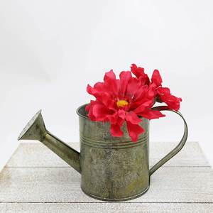 Regadera de estaño galvanizada gris antiguo, decoración del hogar de Metal para jardineras rústicas y fabricación artesanal - Product Image 6