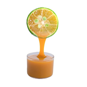 Concentré de jus de Calamansi congelé IQF extrait pur de Kumquat du Vietnam meilleur prix pour les fabricants de boissons d'exportation OEM - Product Image 4