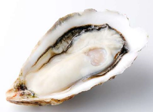 Đồ ăn vặt hải sản Nhật Bản, hàu nửa vỏ đông lạnh đóng gói chân không, bán buôn, hạn sử dụng 6 tháng - Product Image 2