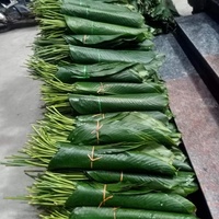Big Dong laisse des feuilles de Dong vertes fraîches pour emballer des aliments décorés du Vietnam