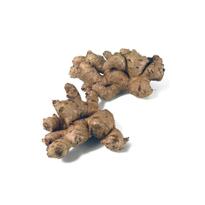 Jengibre fresco orgánico para medicina herbaria Calidad Premium para la salud y el bienestar - Product Image 2