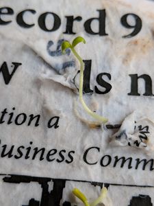 Etiquetas colgantes de papel plantable hechas a mano de 2x4 pulgadas, etiquetas de embalaje de etiquetas comerciales ecológicas, tarjetas de agradecimiento y postales - Product Image 4