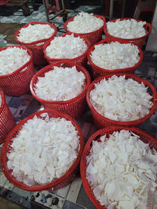 Viande de noix de coco séchée en vrac, noix de coco vietnamienne de qualité supérieure, bande de noix de coco en gros, exportation vers de nombreux pays, forte capacité d'approvisionnement - Product Image 3