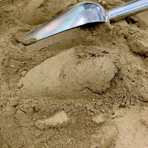 POLVO DE HOJA DE BETEL/PERFECTO PARA RECETAS HERBALES/HECHO EN VIETNAM - Product Image 2