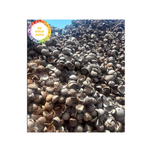 Coquille de noix de coco matériau de noix de coco dure de qualité supérieure du Vietnam parfait pour l'artisanat de meubles et la décoration intérieure - Product Image 4