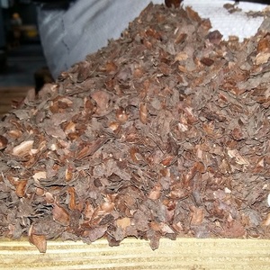 Compre cáscara de cacao de desecho agrícola de calidad superior para mantillo de jardín y enriquecimiento del suelo con entrega rápida y asequible - Product Image 6
