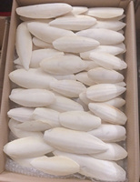 Top vente os de seiche Source de Calcium naturel pour oiseaux de compagnie tortues lapins soin du bec coquille soutien artisanat 2025