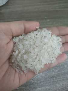 Vietnam Premium Camolino <span class=keywords><strong>Medium</strong></span> Calrose beras bulat Sushi Biz/Mesir gandum sedang nasi 5% rusak tidak beras <span class=keywords><strong>Basmati</strong></span>-ANNA DO