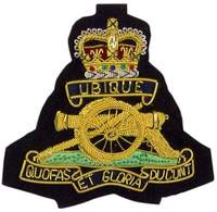 QUALITÉ SUPÉRIEURE ROYAL (RAF) BLAZER BADGE Uniformes Scout Security Blazer Badge Personnalisé Pas Cher Sur Mesure Fournisseur de Badges