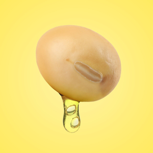 Chất Lượng Cao Cao Cấp 100% Hữu Cơ Tinh Chế Dầu Đậu Nành Cho Nấu Ăn Anh Xuất Xứ - Product Image 5